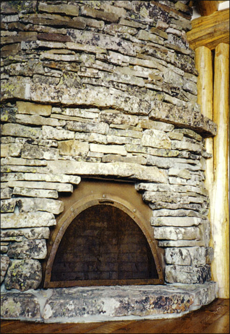 fireplace insert 2
